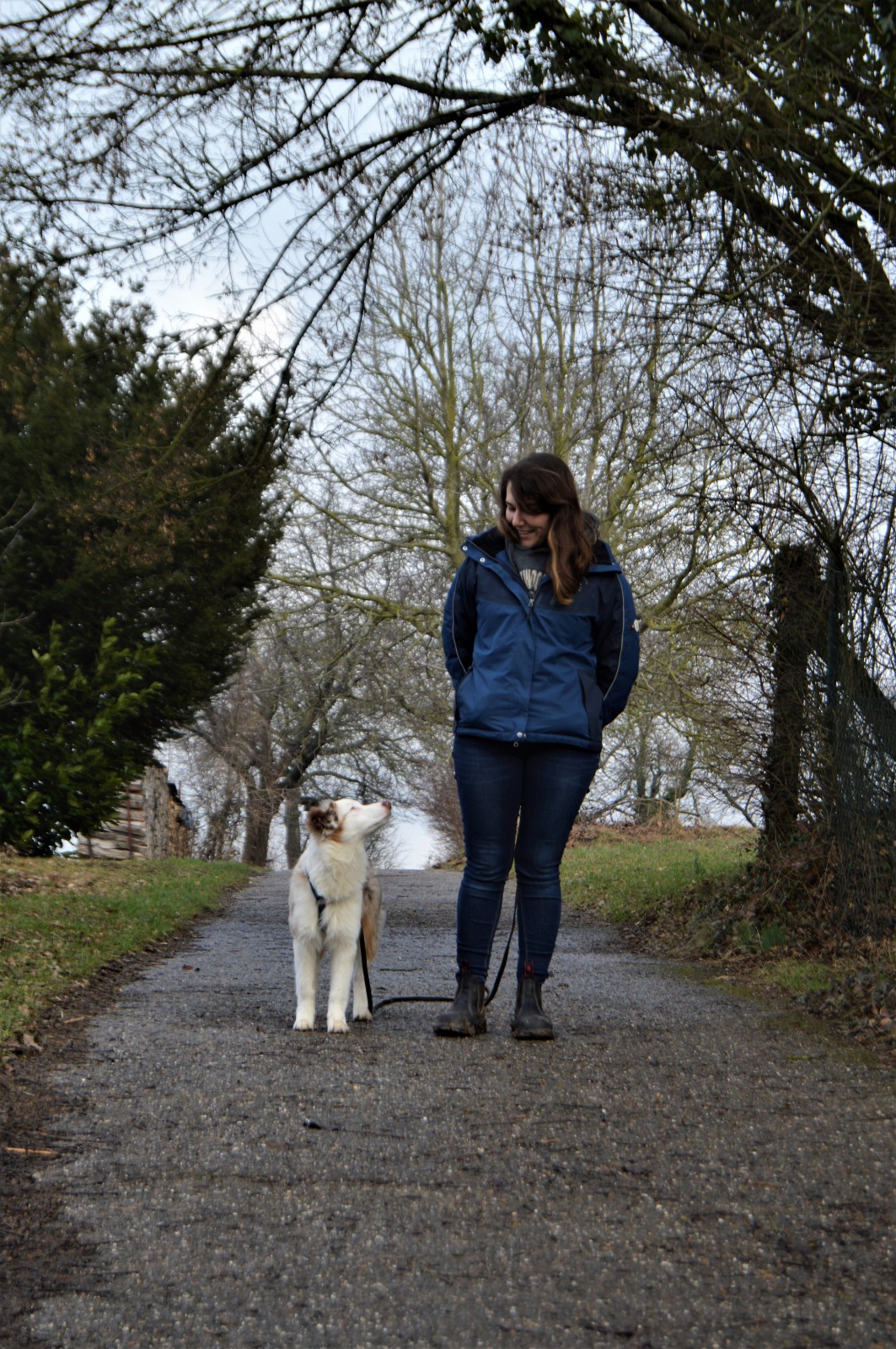 Mensch Hund Coaching, Hundetraining, 1:1, Verhaltensberatung